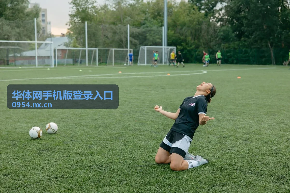 华体网手机版登录入口手机端提示信息对照与处理方式