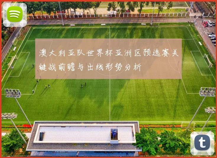澳大利亚队世界杯亚洲区预选赛关键战前瞻与出线形势分析