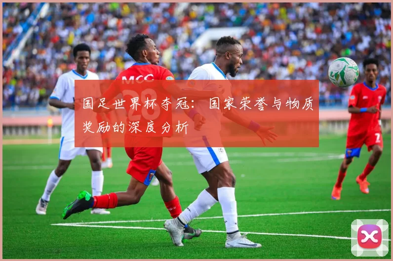 国足世界杯夺冠：国家荣誉与物质奖励的深度分析